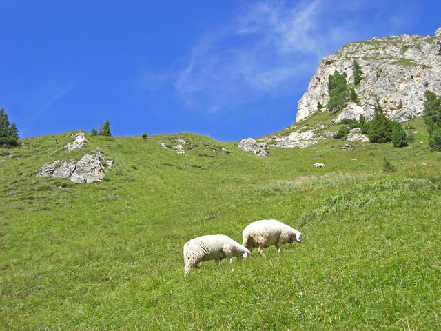 Val de Fedaa