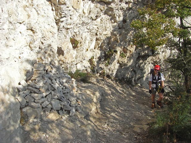 Fennberg-Klettersteig: Daniela im langen Gehgelände