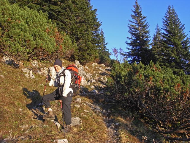 Gudrun auf Weg 648 zwischen Gro&szlig;em Feldl und Ennstaler H&uuml;tte (18. Okt.)