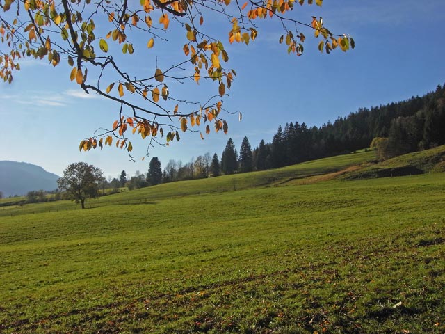 Aschau (26. Okt.)