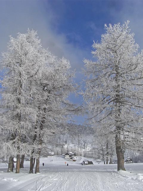 bei der Bergstation des Eisentallifts (28. Dez.)