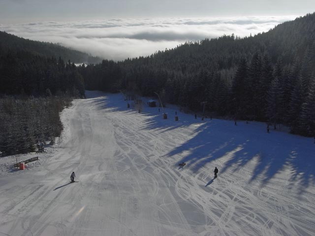 Schwaigwiese