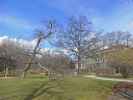 Stadtpark (15. März)