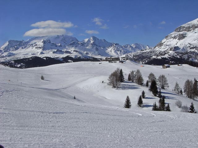 Braia Freida (22. März)