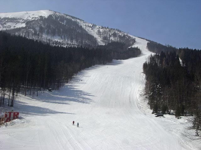 Distelpiste SL