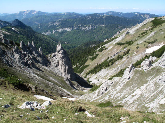 Baumtal