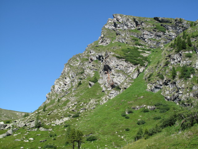 Falkert (17. Juli)