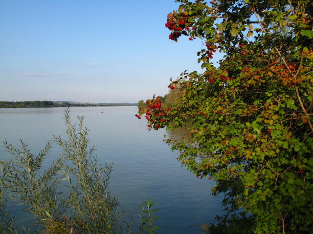 Donau bei Wördern