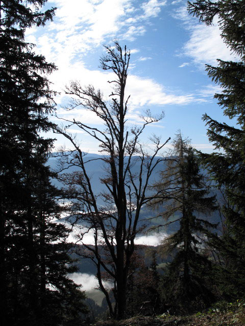vom Gsolhirnsteig Richtung Süden