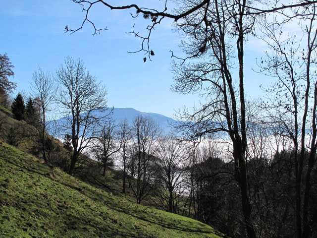 zwischen Rörl und Ortneralm