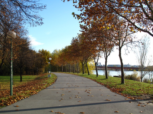 zwischen Floridsdorfer Brücke und Brigittenauer Brücke
