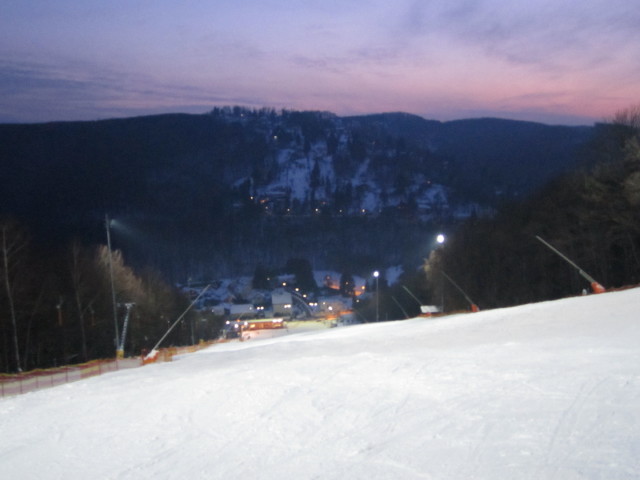 Hohe-Wand-Wiese