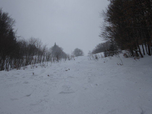 ehemalige Piste