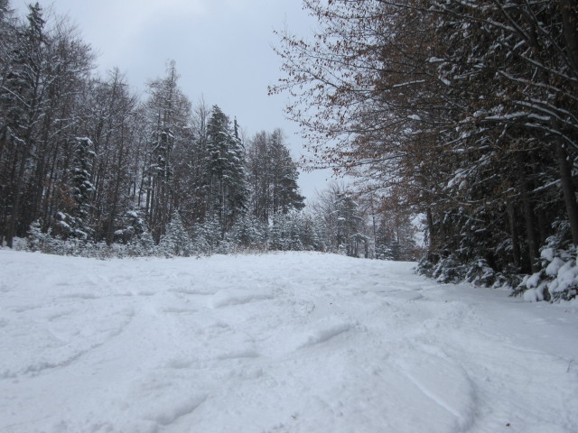 FIS-Piste 1