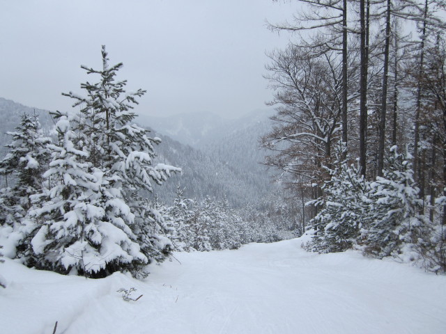 Piste 3