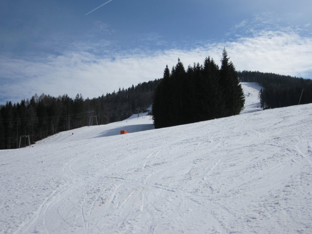 Auwiese