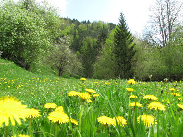 Panoramaweg