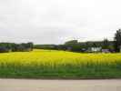 Siegenfeld (8. Mai)