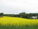 Siegenfeld (8. Mai)