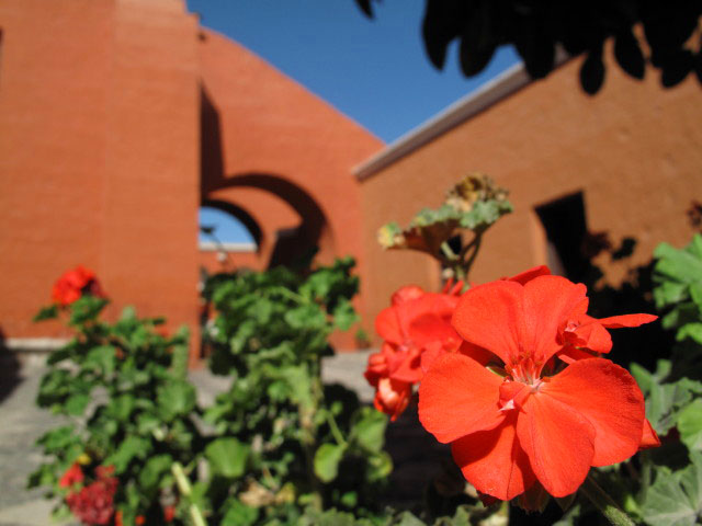 Monasterio de Santa Catalina in Arequipa (5. Juli)