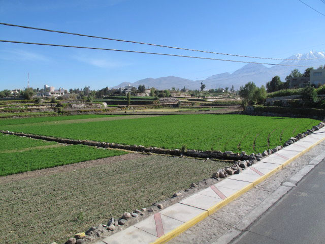 Calle Cusco in Arequipa (7. Juli)
