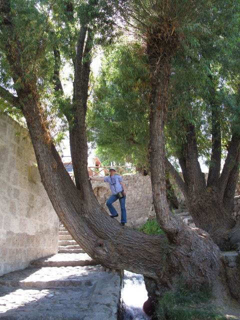 Daniela in der Molino de Sabandia in Arequipa (7. Juli)