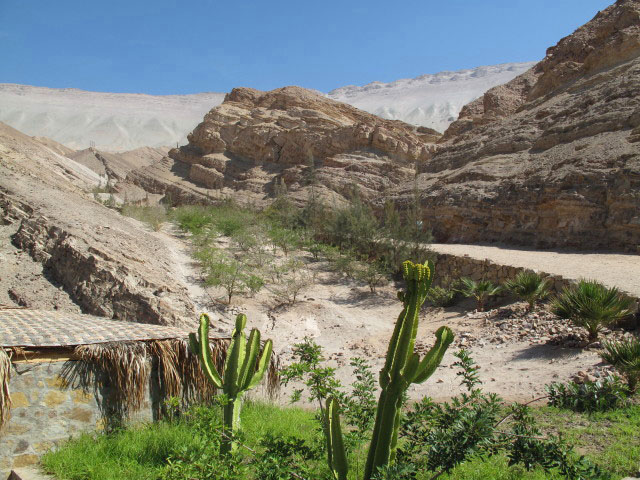 Parque Jurasico de Querulpa (8. Juli)