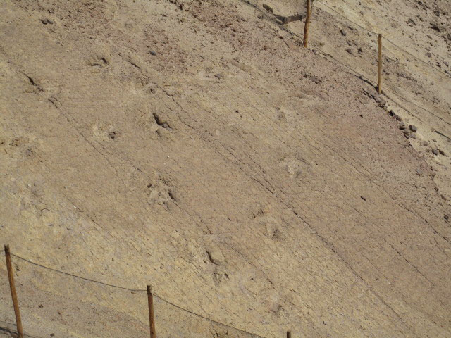 Parque Jurasico de Querulpa (8. Juli)