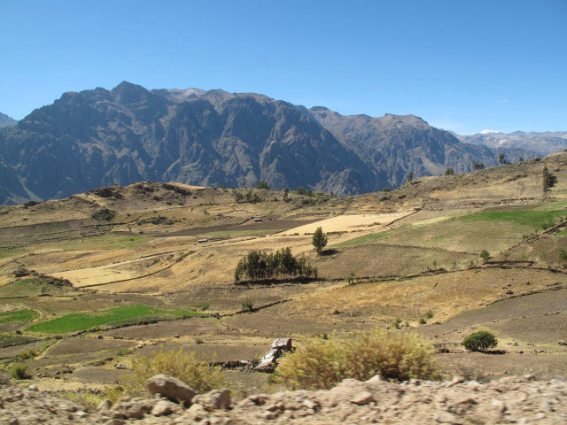 Ca&ntilde;on del Colca (9. Juli)