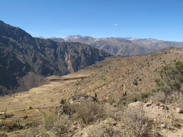 Ca&ntilde;on del Colca (9. Juli)