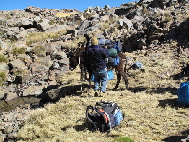 zwischen &Ntilde;aupallacta und Nevado Mismi (11. Juli)