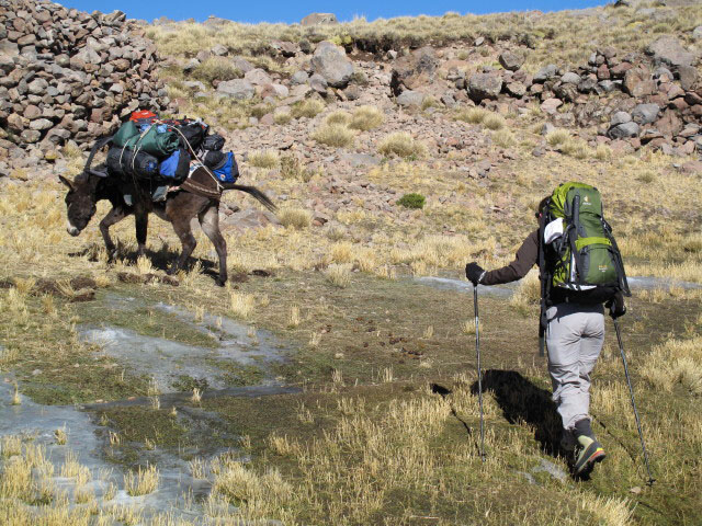 Daniela zwischen &Ntilde;aupallacta und Nevado Mismi (11. Juli)