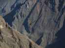 Ca&ntilde;on del Colca vom Mirador Cruz del Condor aus (9. Juli)