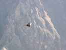 Ca&ntilde;on del Colca vom Mirador Cruz del Condor aus (9. Juli)