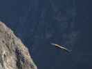 Ca&ntilde;on del Colca vom Mirador Cruz del Condor aus (9. Juli)