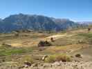Ca&ntilde;on del Colca (9. Juli)