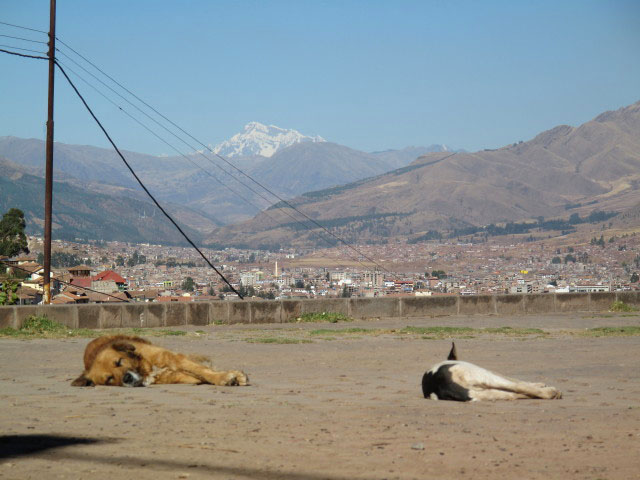 bei der Iglesia de San Crist&oacute;bal in Cusco (21. Juli)