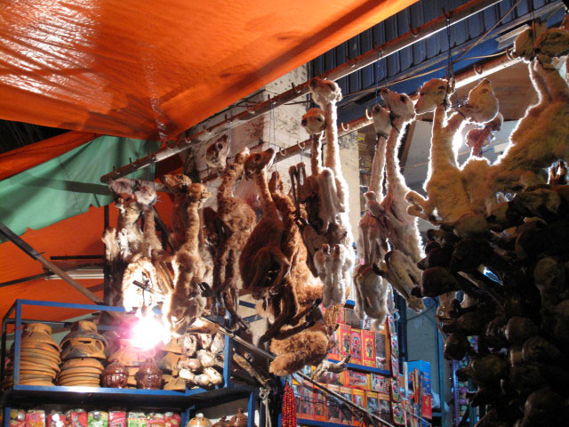 Calle Sag&aacute;rnaga in La Paz (23. Juli)