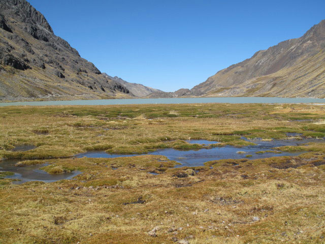 Laguna Janq'u Quta (28. Juli)