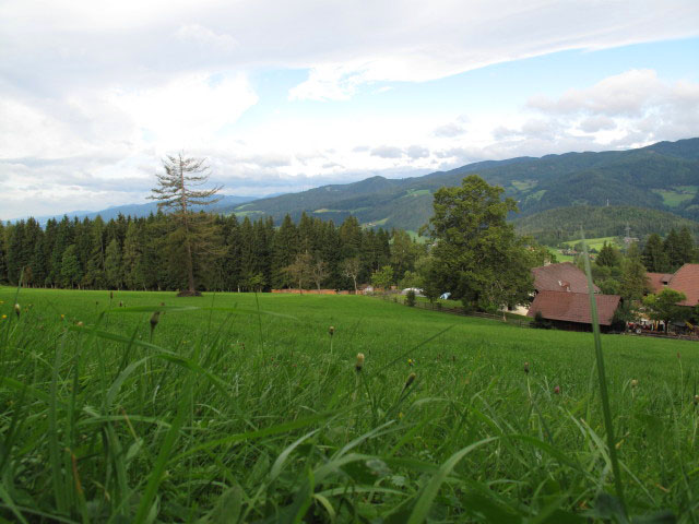Peterbauer