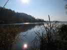 Donau-Altarm bei Greifenstein