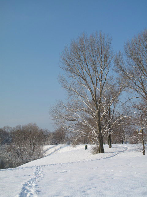 Badeteich