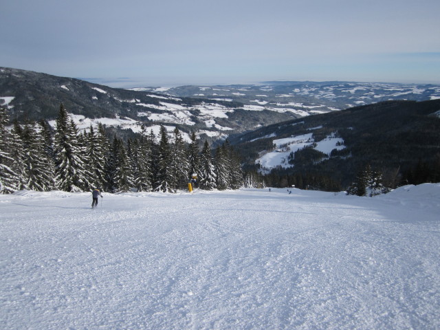 FIS-Abfahrt