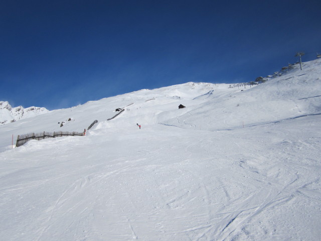 Wiesenabfahrt (15. Jän.)