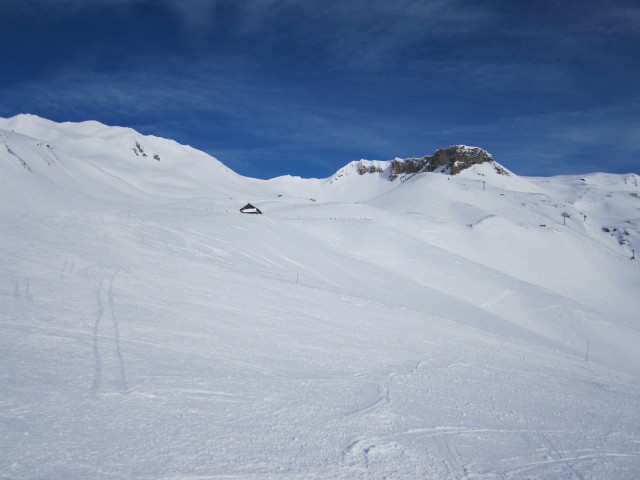 Viehbühelabfahrt (16. Jän.)