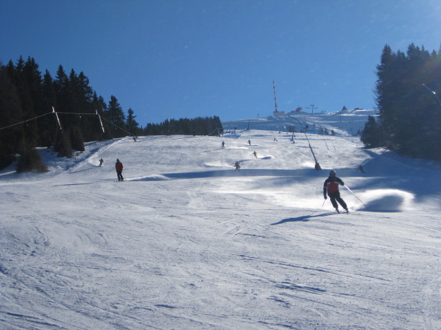 Bärenbissabfahrt