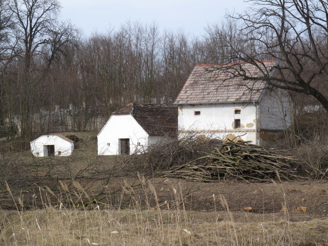 Wenzersdorf, 243 m