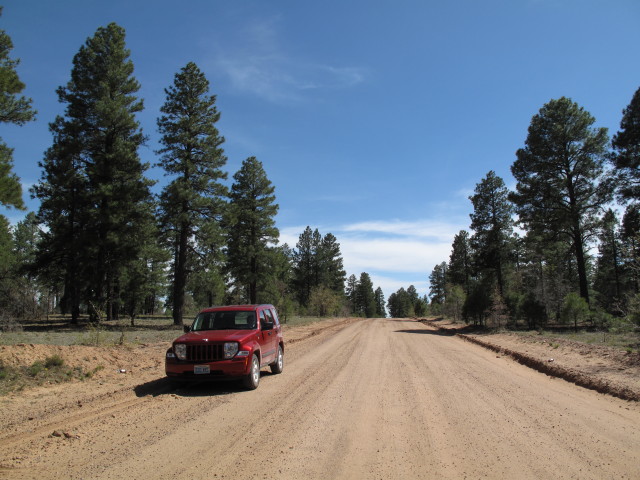 Defiance Plateau Jeeptrail zwischen Oak Ridge Fire Lookout und AZ 264 (26. Mai)