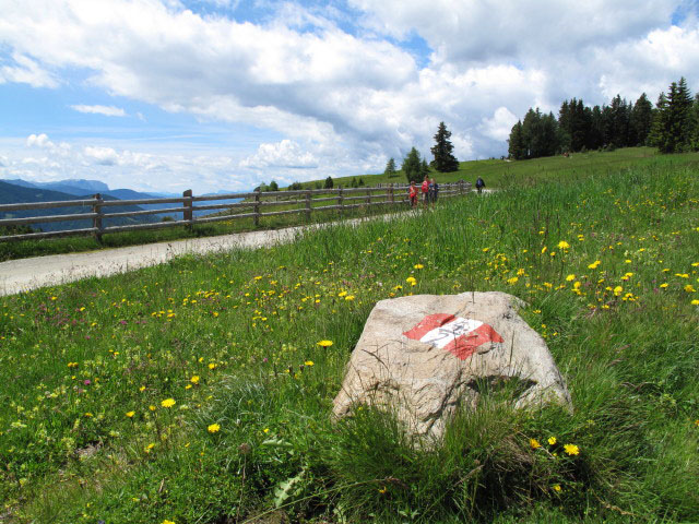 Alter Almweg zwischen Abzweigung Weg 4 und Ronerhütte