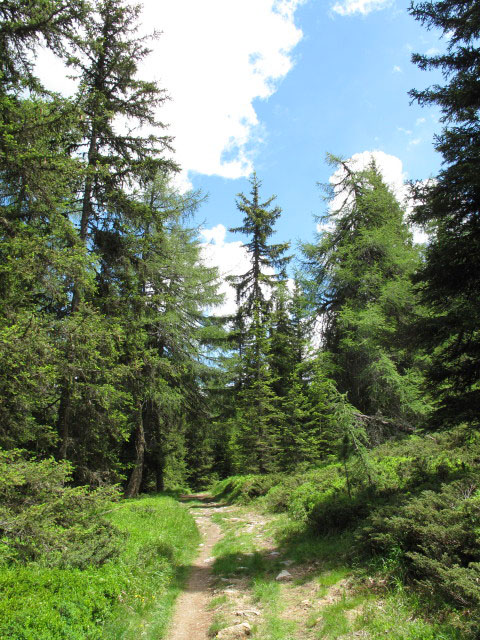 Weg 68B zwischen Weg 2 und Rastnerhütte